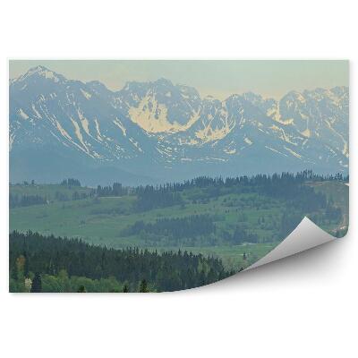 Papier peint Montagnes Tatra Gens Conifères Maisons Neige