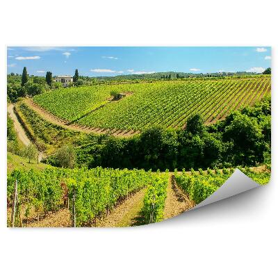 Papier peint Vignoble Toscane Nuages de ciel