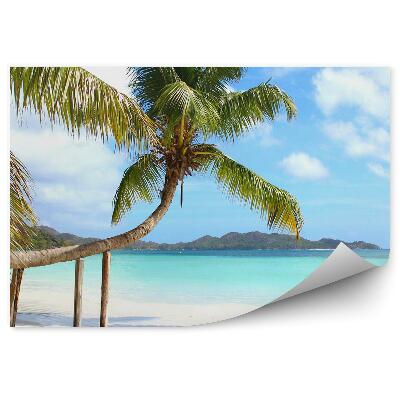 Papier peint Palmes Plage Océan Montagnes Plantes Ciel Nuages Seychelles