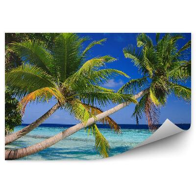 Papier peint Ile tropicale maldives eau bleue