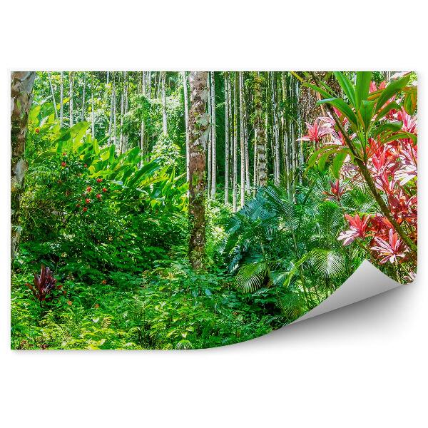 Papier peint Jungle Plantes Hawaii