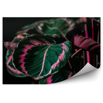 Papier peint Plante aux feuilles vertes et roses
