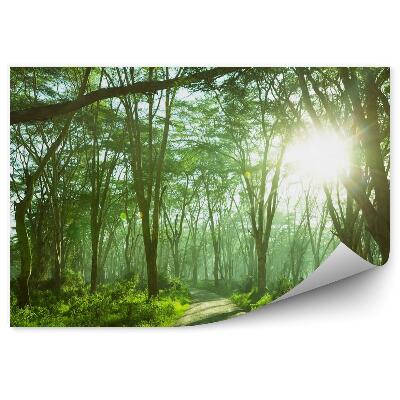 Tapisserie panoramique Jungle de forêt tropicale