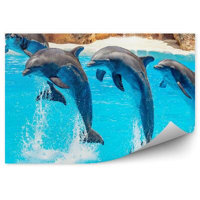 Papier peint Acrobaties D'un Dauphin