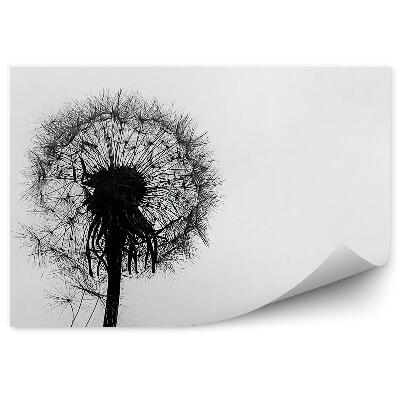 Papier peint Gouttes de rosée pissenlit