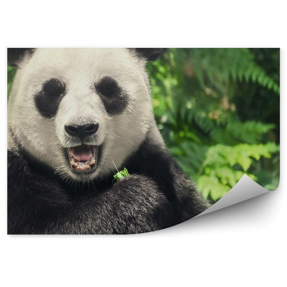 Papier peint Panda Chinois