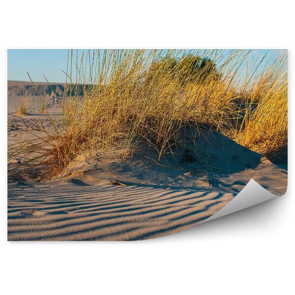 Papier peint Dunes Désert Herbe Ciel