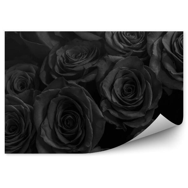 Papier peint Fond de fleurs de roses noires