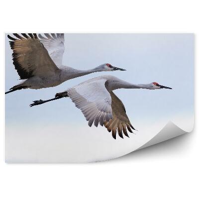 Papier peint Grues Volantes