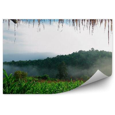 Papier peint Forêt dans la brume vue de la cime des arbres depuis le chalet