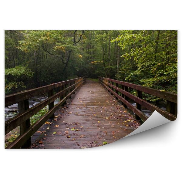 Papier peint Pont De Montagne Arbres Plantes Feuilles