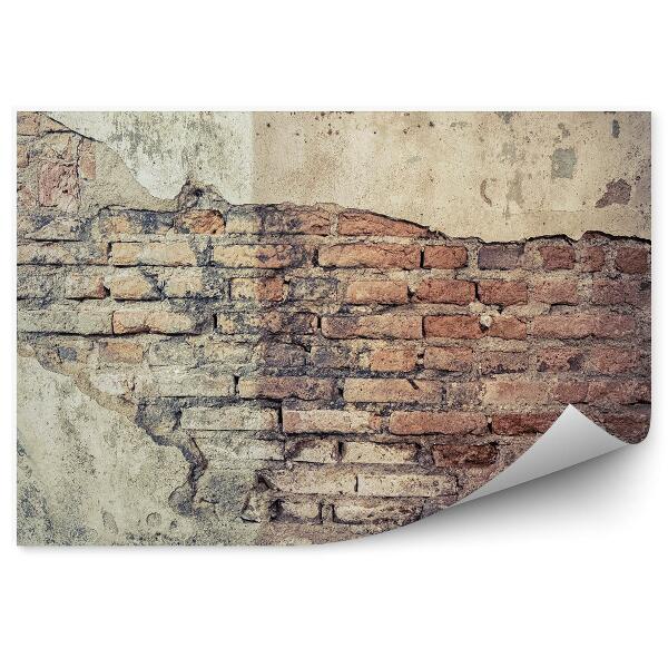 Papier peint Fissure dans un vieux mur enduit