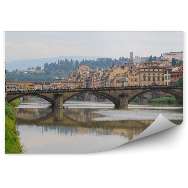 Papier peint Pont de la Trinité Nuit Bâtiments Fleuve Arno Florence Plantes