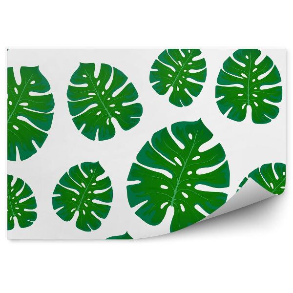 Papier peint Feuilles de monstera vertes fond blanc