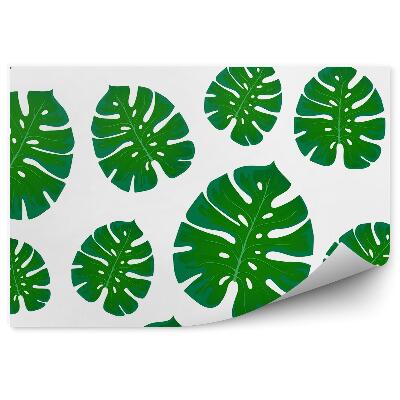 Papier peint Feuilles de monstera vertes fond blanc