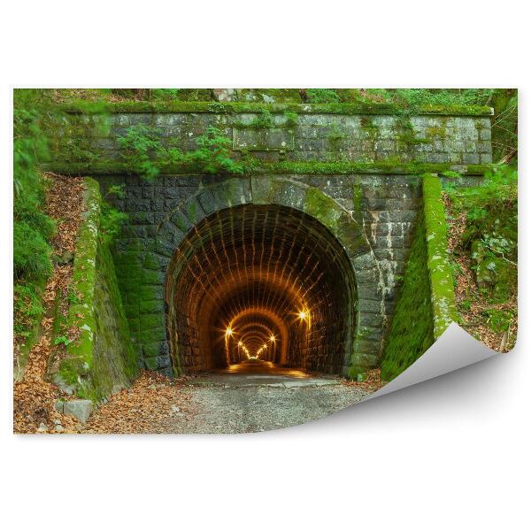 Papier peint Tunnel En Béton Envahi Par La Végétation