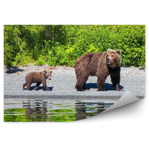 Papier peint Ours Et Oursons Au Lac