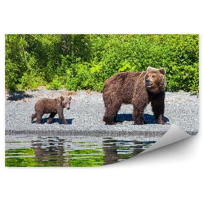 Papier peint Ours Et Oursons Au Lac