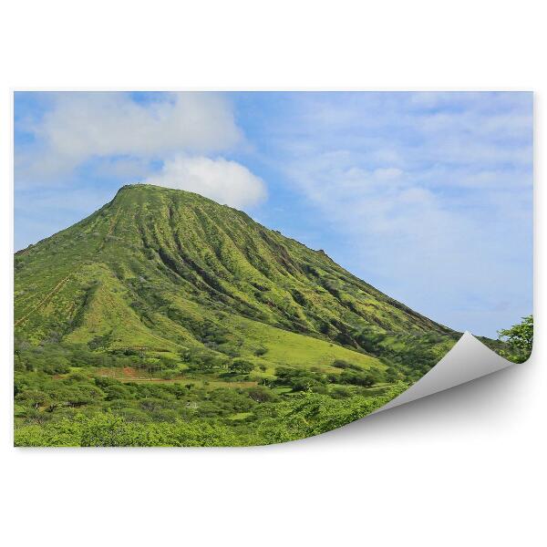 Papier peint Paysage vert Montagne Plantes Oahu Island Hawaii