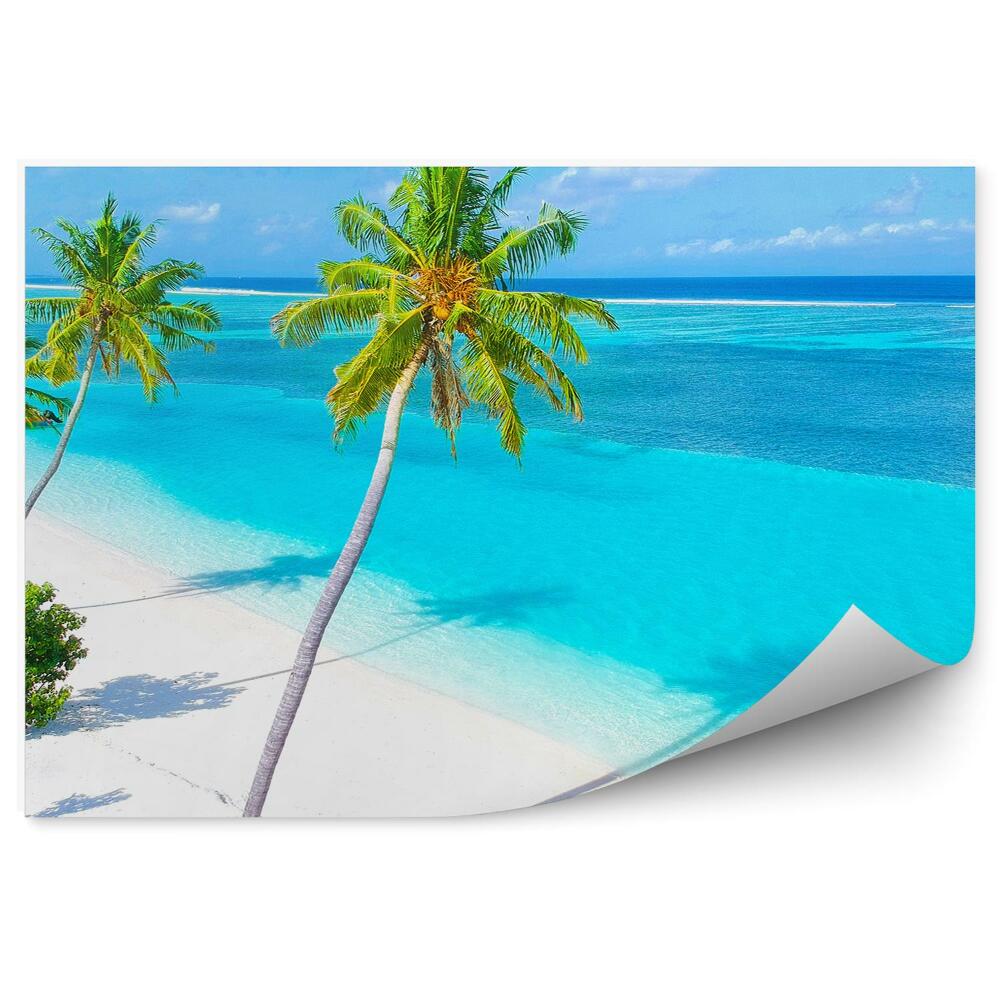 Papier peint Plage de sable Palms Intense Colours