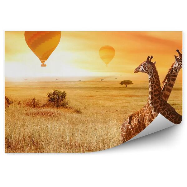 Papier peint ballons girafes herbe nature orange