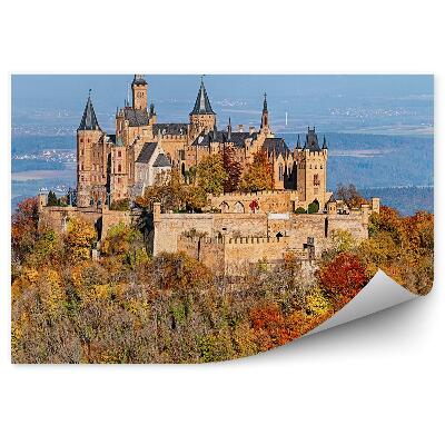 Papier peint Château Hohenschwangau Alpes Bavaroises Conifères Montagnes