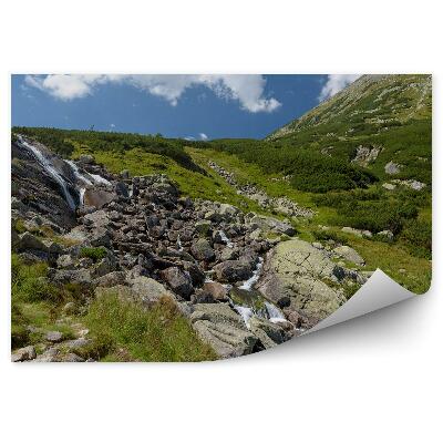 Papier peint Cascade Tatra Mountains Summer Poland Nature