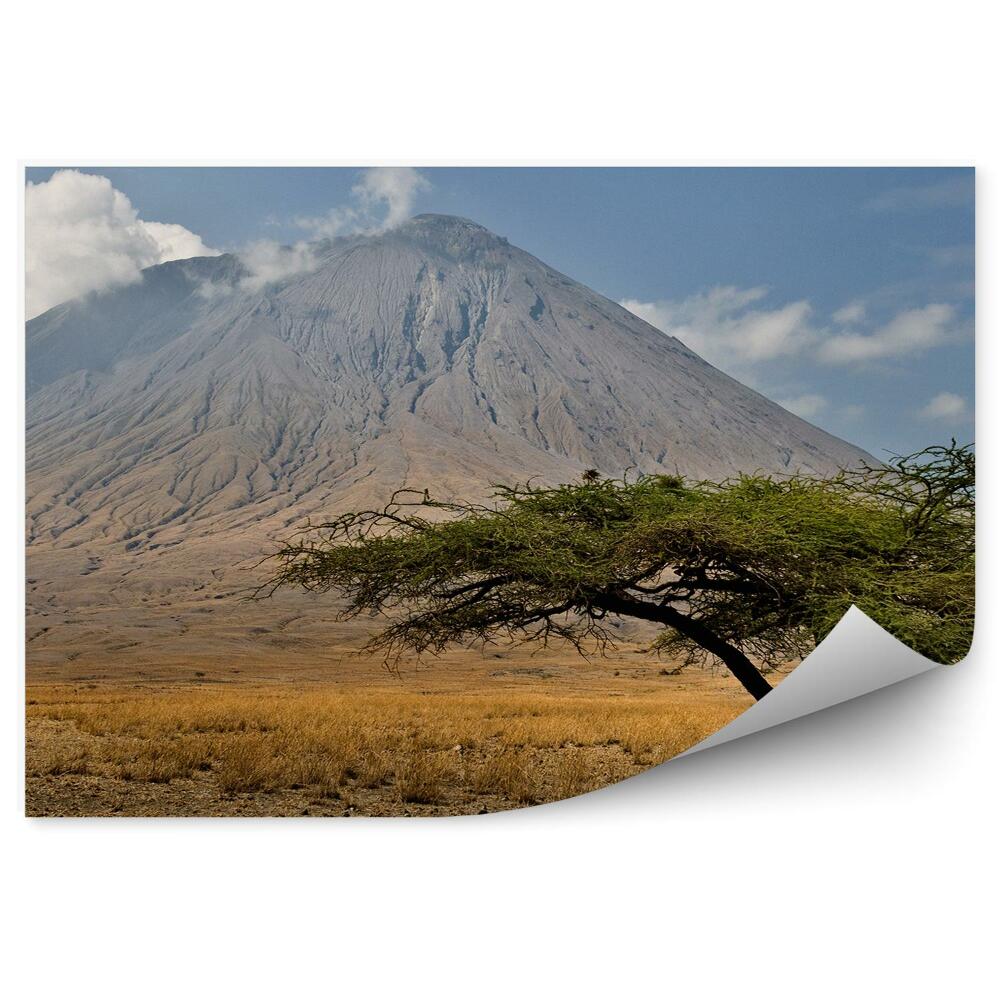 Papier peint Volcan Tanzanie Arbre Ciel Nuages