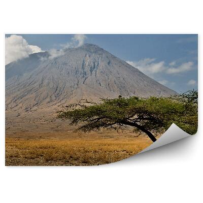 Papier peint Volcan Tanzanie Arbre Ciel Nuages