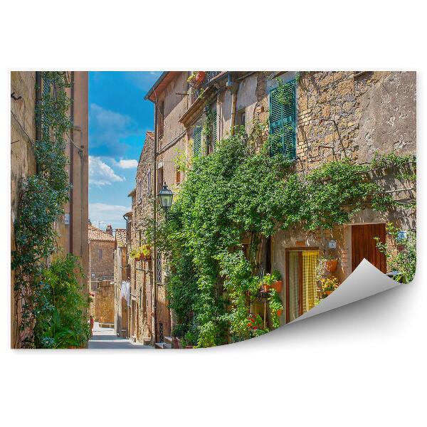 Papier peint Belle rue fleurie Toscane