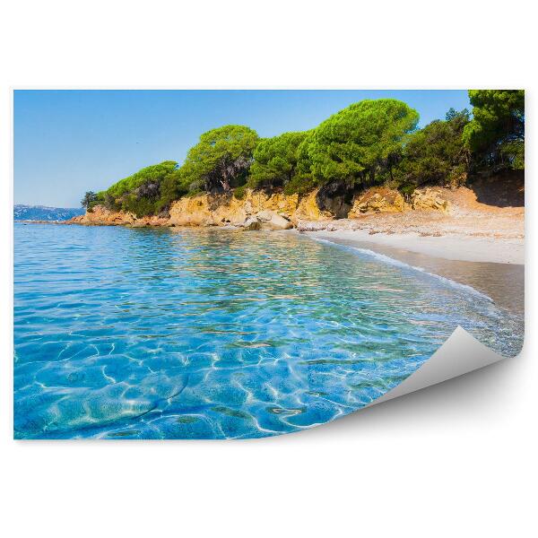 Papier peint Corse Océan Plage De Sable Arbres Plantes Île