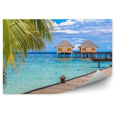 Papier peint palmiers maison jetée eau bleue maldives