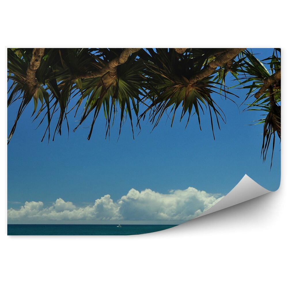 Papier peint Palmiers sur une plage