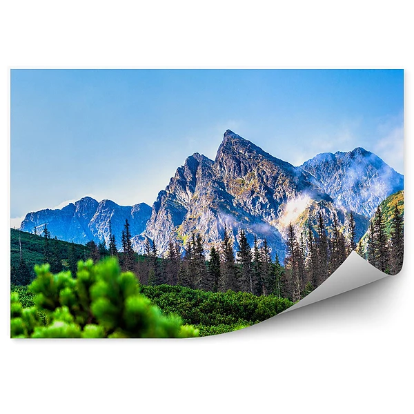 Papier peint Tatra Conifères Montagnes Ciel Nuages Nature