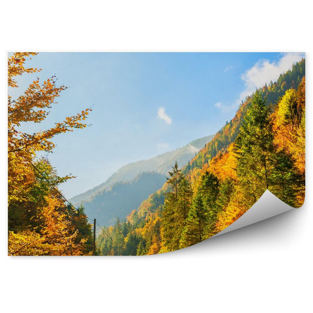 Papier peint Automne Montagnes Alpes Arbres Plantes Route Ciel Nuages