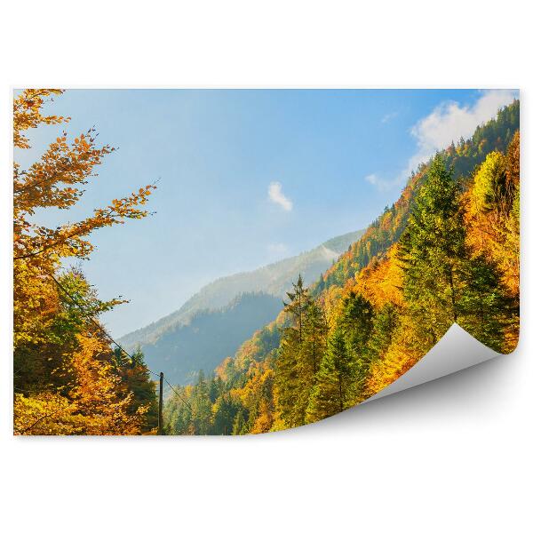 Papier peint Automne Montagnes Alpes Arbres Plantes Route Ciel Nuages