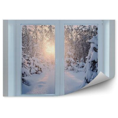 Papier peint Chaise De Chambre Fenêtre Forêt Tropicale