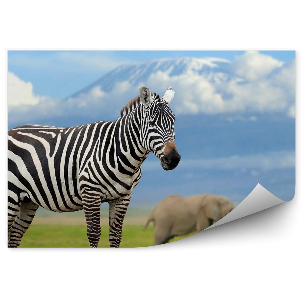 Papier peint Zèbres Et Éléphants Avec Le Kilimandjaro En Toile De Fond