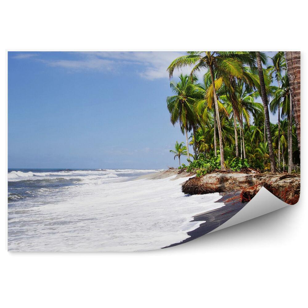 Papier peint Palmiers sauvages des Caraïbes Paysage tropical
