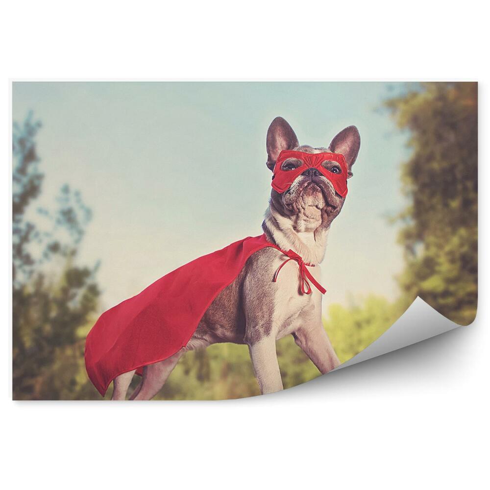 Papier peint Bouledogue Français Costume Rouge Super Héros Forêt