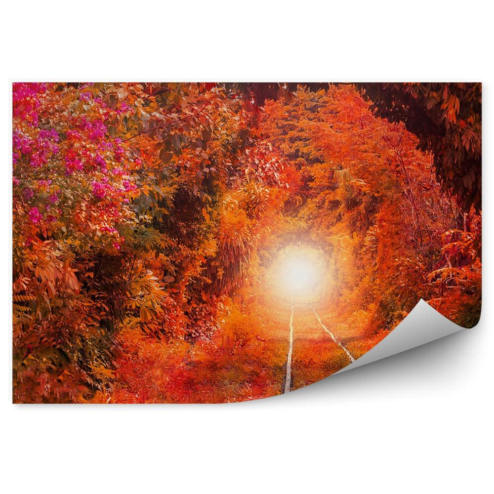 Papier peint Feu De Piste Des Arbres D'automne