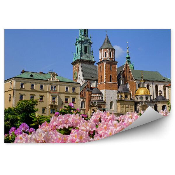 Papier peint Cathédrale de Wawel Bâtiments Arbres Fleurs Cracovie