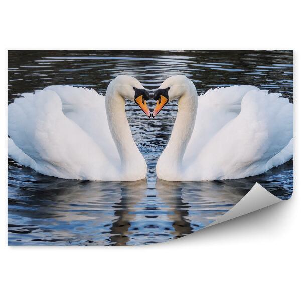 Papier peint Deux Cygnes Romantiques Sur Un Lac Symbole En Forme De Cœur