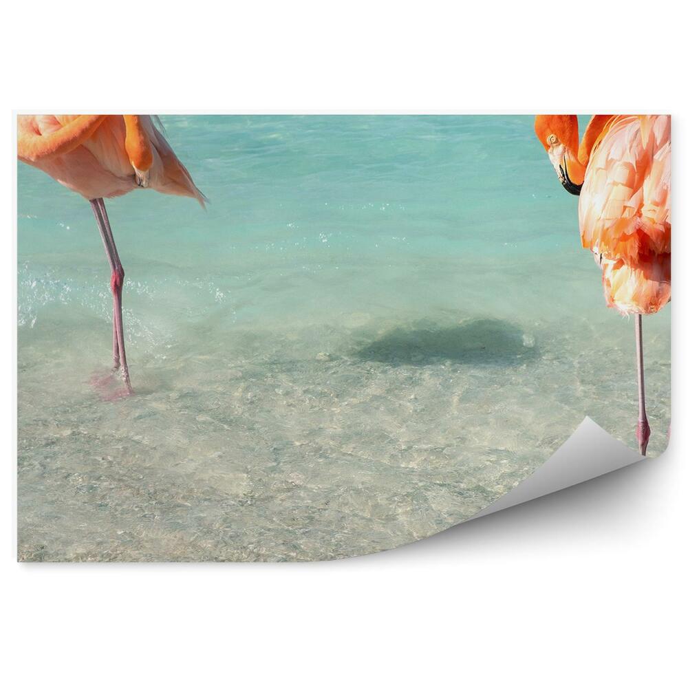 Papier peint Flamants de la mer des Caraïbes Plage