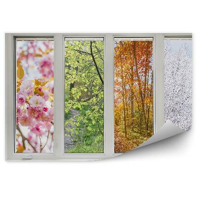 Papier peint Quatre saisons à l'extérieur de la fenêtre