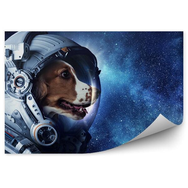 Papier peint Astronaute Chien Ciel Étoiles Voie Lactée