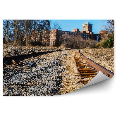 Papier peint Voies ferrées détruites pierres herbe ville