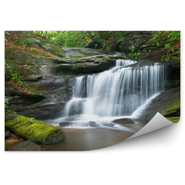 Papier peint Cascades Forêt Paix et tranquillité Verdure