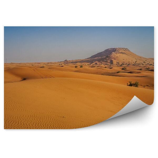 Papier peint Dunes Plage Désert Plantes Arbres