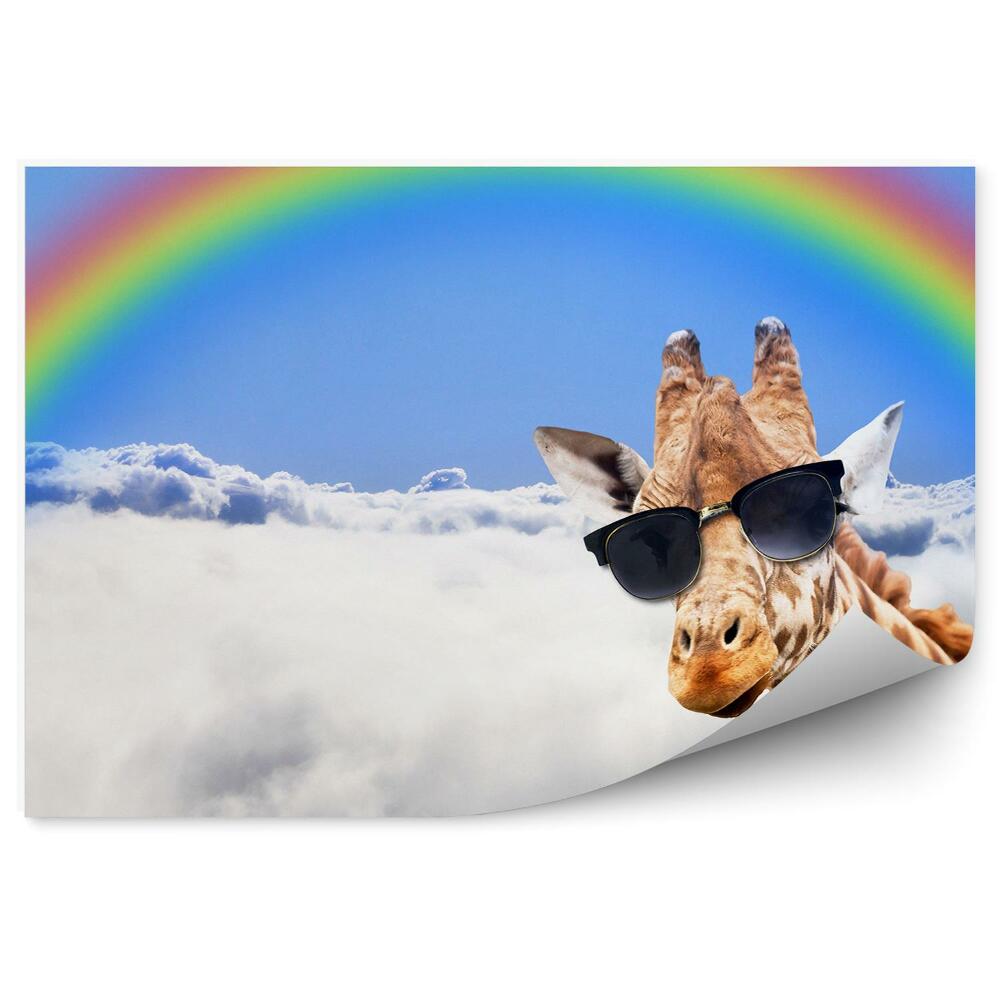 Papier peint Lunettes De Girafe Ciel Nuages Arc-En-Ciel